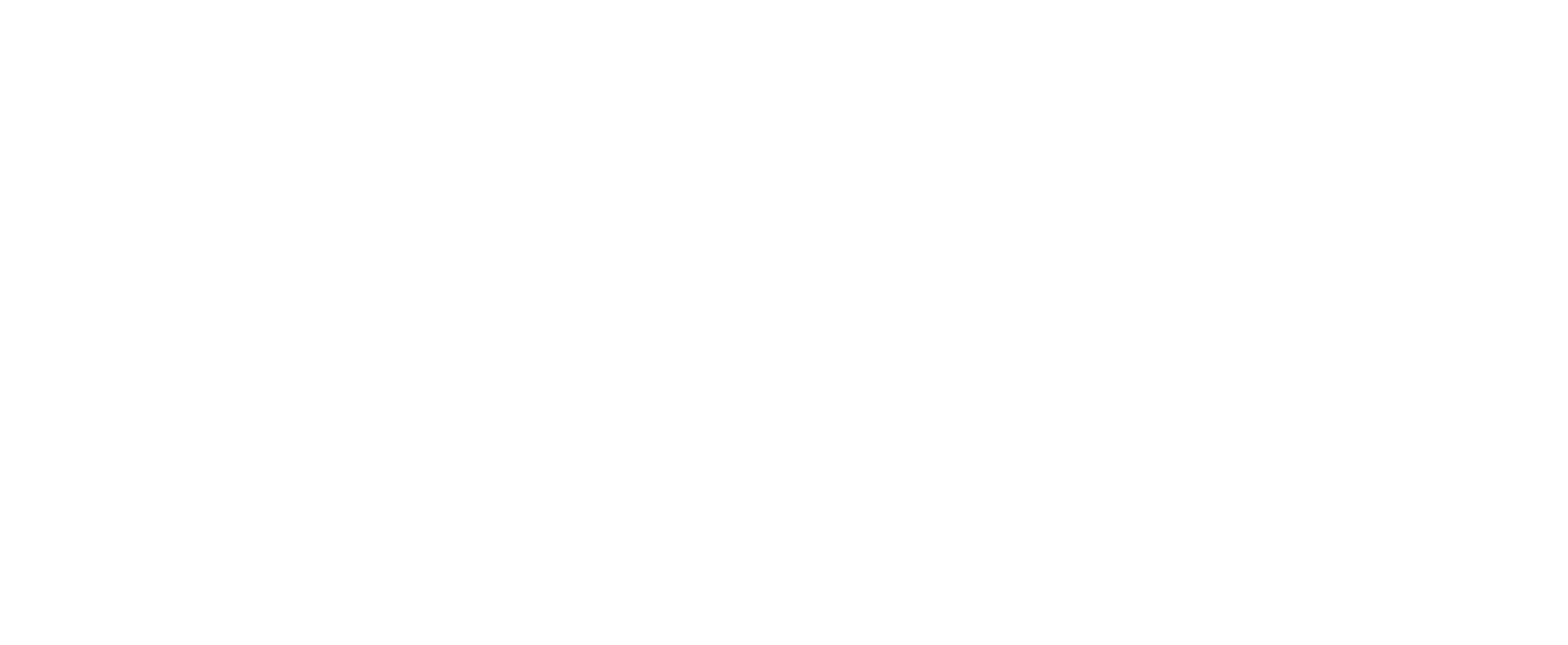Legion Technical Solutions